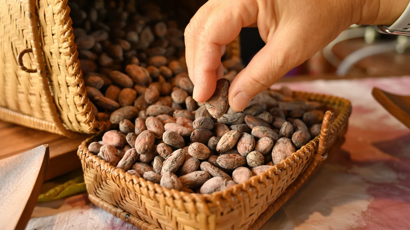 Indonesia's Trusted Cocoa Powder Manufacturer and Supplier
