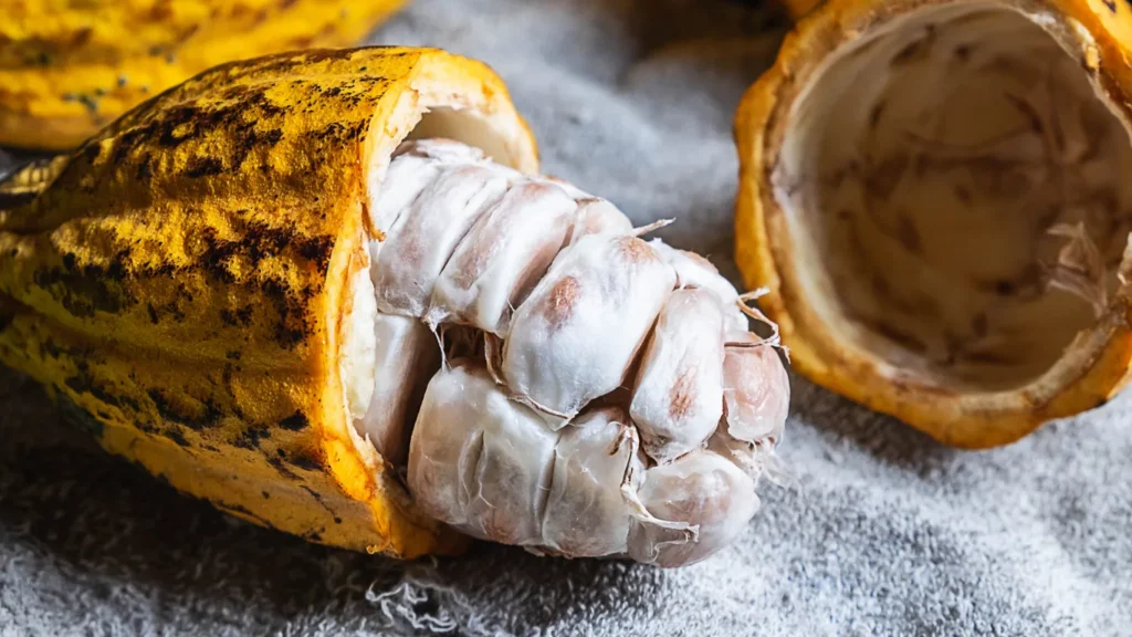 The Advantages of Indonesian Cocoa Compared to Other Countries