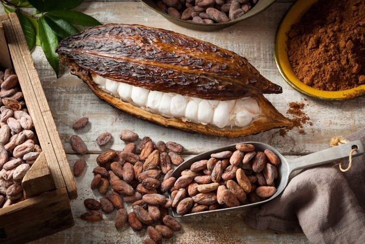 cocoa powder supplier