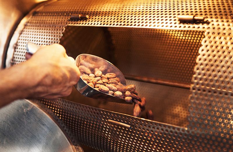 cocoa powder manufacturer