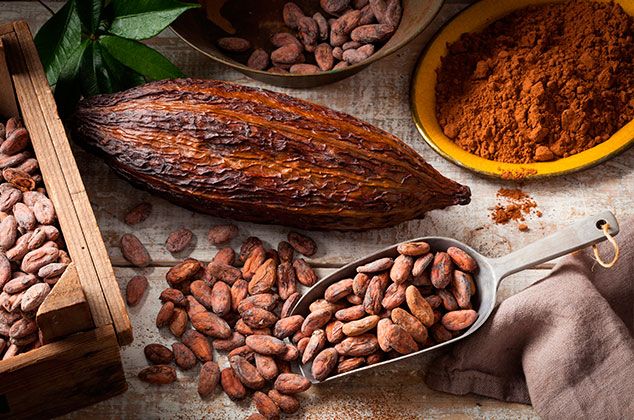 cocoa powder indonesia