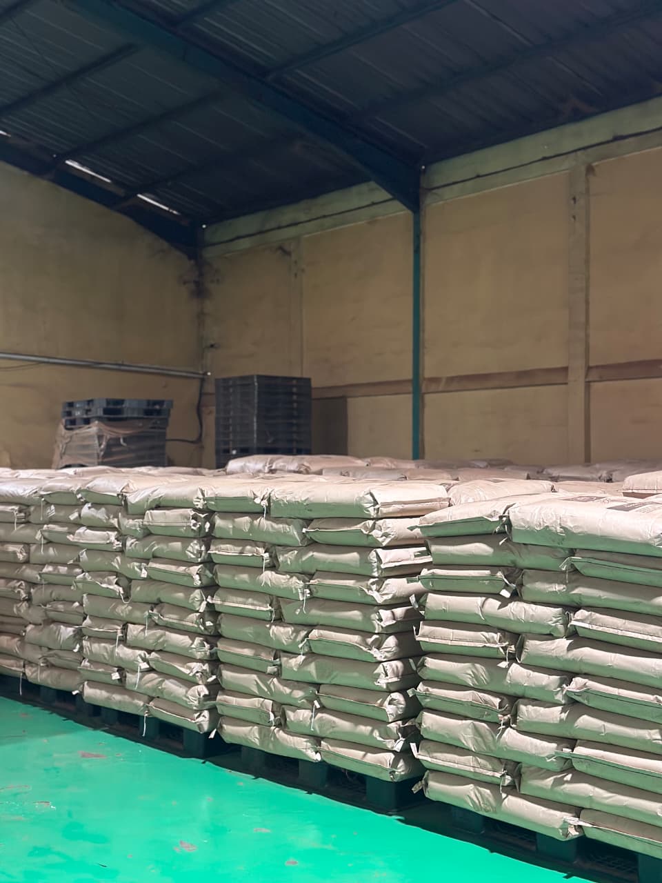 WhatsApp Image 2026-01-29 at 9.35.33 PM (1)