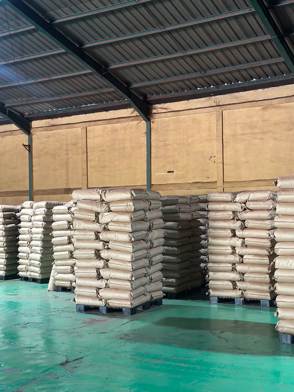 WhatsApp Image 2026-01-29 at 9.35.33 PM (2)